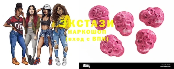 скорость Ельня