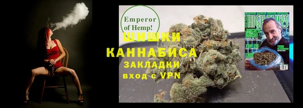 ПСИЛОЦИБИНОВЫЕ ГРИБЫ Чекалин