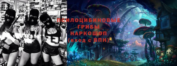 ПСИЛОЦИБИНОВЫЕ ГРИБЫ Чекалин