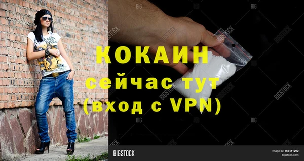 PSILOCYBIN Дмитровск