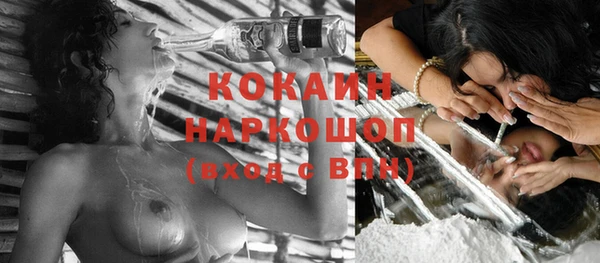винт Дмитров